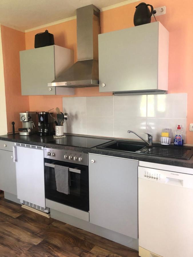 Wohlfuehloase Dresden Nickern Daire Dış mekan fotoğraf