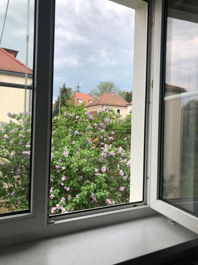 Wohlfuehloase Dresden Nickern Daire Dış mekan fotoğraf