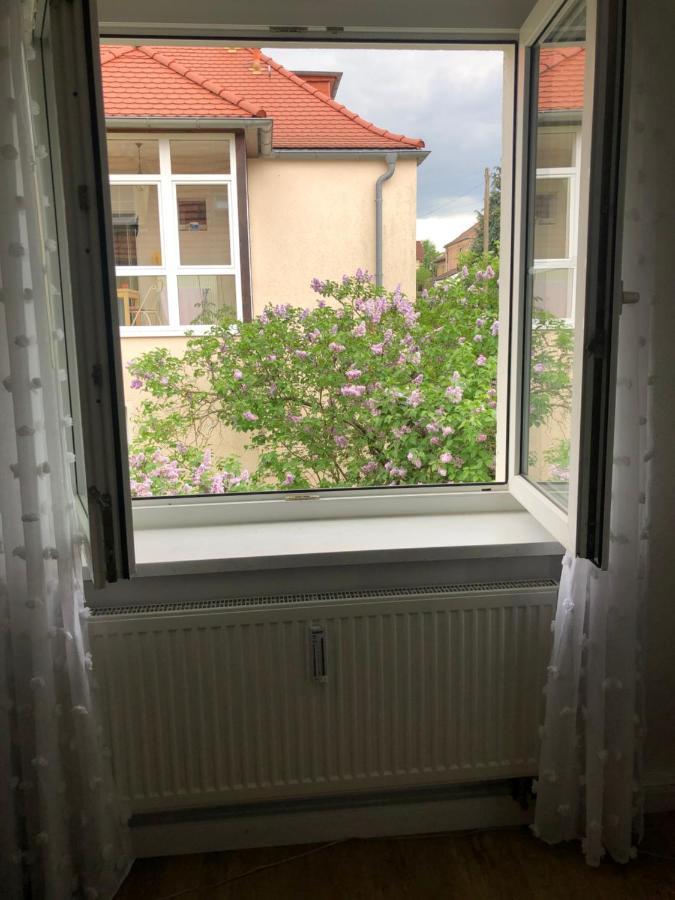 Wohlfuehloase Dresden Nickern Daire Dış mekan fotoğraf